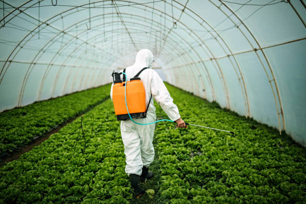 Best Commercial Pest Control Services  in Fort Clark Springs, TX