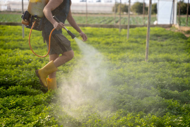 Best Pest Prevention Services  in Fort Clark Springs, TX