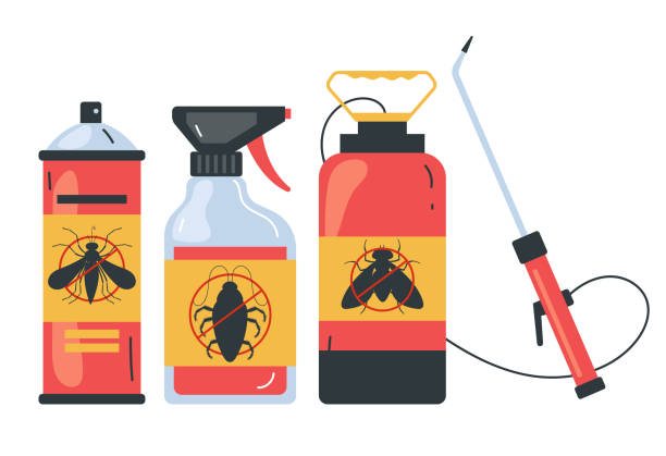 Reliable Fort Clark Springs, TX Pest Control Solutions