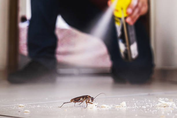 Best Pest Control Near Me in Fort Clark Springs, TX